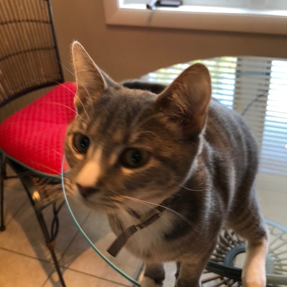 Meet your Posher, Sarah - Picture 1 of 1